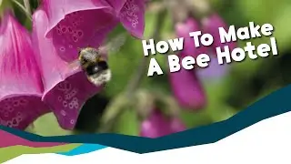 How To Build A Bee Hotel!