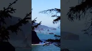 Oregon Coast 4-Day Itinerary 🌊🌲#EGambassador If you&rsquo;ve been wanting to explore the Oregon Coast