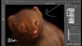 Realistic Digital Painting Timelapse - Ruddy Mongoose by Dineth Bamunusingha