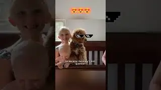 Family Brings Home A Puppy And A Baby 👶🐶 cutest chaos ever ❤️ #shorts #puppy #baby #viral