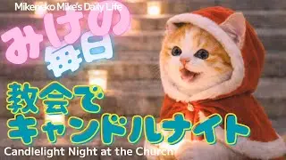 『三毛猫みけの毎日』Xmasキャンドルナイト♡Mikeneko Mike’s Daily Life .Candlelight Night at the Church♡　ローソクの火は癒されるにゃの巻