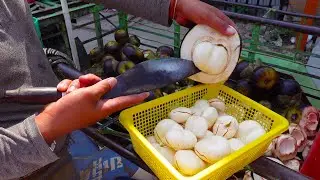 So Juicy & Tender! Amazing Palmyra Palm Fruit Cutting Skills - Cambodian Street Food