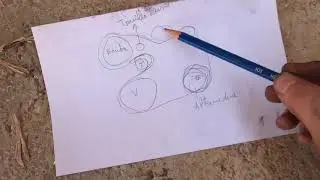Cambio bomba de agua BMW Z4 parte2