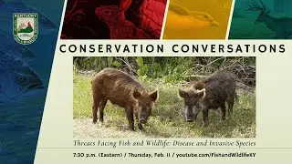 Conservation Conversations- Threats Related to Fish and Wildlife: Disease and Invasive Species