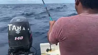 In-shore fishing charters in Costa Rica