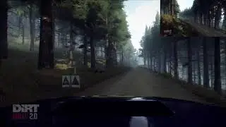 Dirt Rally 2.0 - Old Butterstone Muir Reverse - Subaru Impreza S4 - World Record