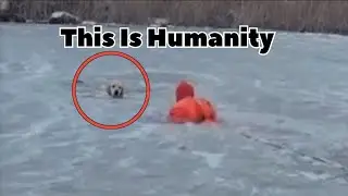 This Is Humanity ❤️ Rescue Officer Risks Life to Save Dog in Icy Water