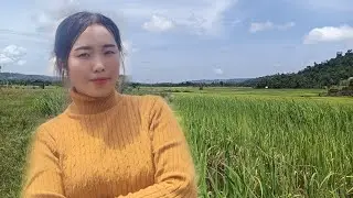 Nplej loj thiab zoo kawg li lm 