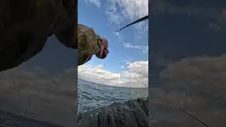 #377536 #magiqych #vlog #shorts