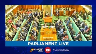 LIVE | PARLIAMENT IN SESSION