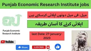Punjab Economic Research Govt Of punjab jobs 2023 - PERI new jobs in pakistan - 1M jobs