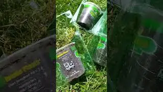 unboxing Bonnie plants ordered thru Walmart herbs perennials food Forest