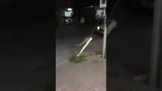 Cachorro Se Arrastando :(