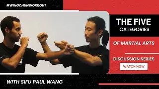The 5 Categories Of Martial Arts ft Sifu Paul Wang