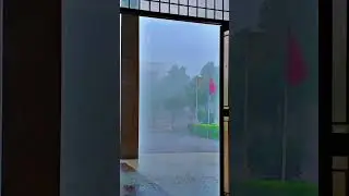 Rainy Day at PMAS UAAR #Arid #Aridian#Arid Scenery#Viral#Arid Beauty#Shorts#ytshorts#barish #Rain