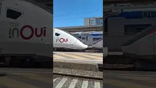 SNCF TGV R&eacute;seau et Duplex en gare du Lyon Part-Dieu #shorts