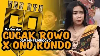 CEK SOUND GEA AYU CUCAK ROWO DJALMOAN COVER DJALMO PRONOJOYO TERBARU PANJAK ONAR SIKATTTT
