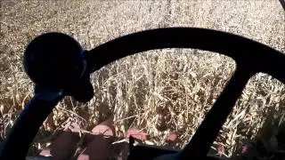 TAC Row Guidance in Different Conditions