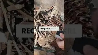 How Vikings Made Fire Without Matches! #shorts