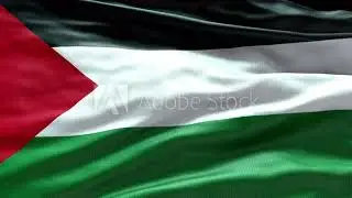 4k render State of Palestine Flag video waving in wind State of Palestine Flag Wave Loop waving in