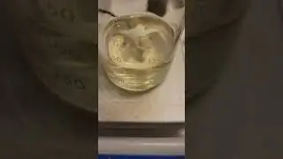 Test Cyp 250mg/ml Homebrew Video
