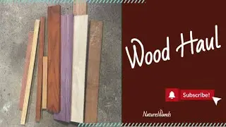 Wood Haul for Future Wands!