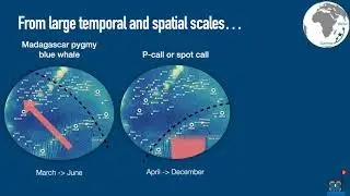 Ocean Bottom Seismometers for Passive Acoustic Monitoring of Baleen Whales
