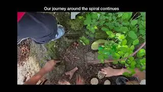 NOIIE Symposium Video, 2025