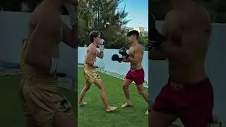 KO Them with Manliness 🤯🤛 #manliness #ultimate #boxing #knockout #motivation #homeworkout #viral