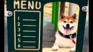 Henlo, may i take ur order?