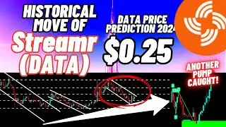The Historical Move Of Streamr | DATA Price Prediction 2024
