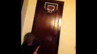 Another fail