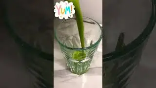 Veggies Pineapple Ginger Chia Smoothie