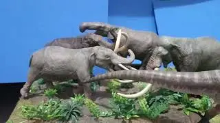 Giganotosaurus Eofauna caminando.
