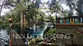 NASULI COLD SPRING RESORT