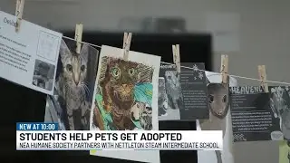 Students create art to help shelter animals find homes