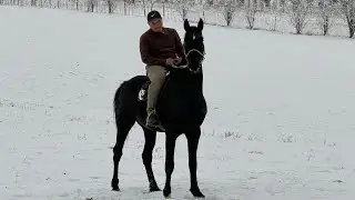 БЫШТЫНЫН МЫКТЫСЫ ЧЫКТЫГО ЧИРКИН 🤯#байтв 