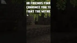 @minecraft #minecraft #funny #fypシ #tiktok #ducks #pets #minecraftshorts #minecraftmemes