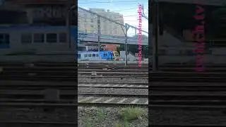 Steamrail Members Train To Warragul 161223 #victoria #shorts #shortvideo #train #travel #views