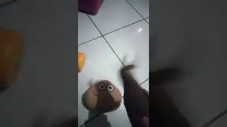 @&aacute;ngelsonic_492