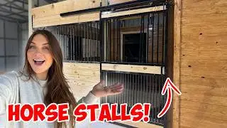 Building the HORSE STALLS! | Building My NEW DREAM HORSE BARN PART 8!