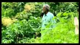 Soil Bio-Technology - Mimicking Nature (Waste-water Treatment)