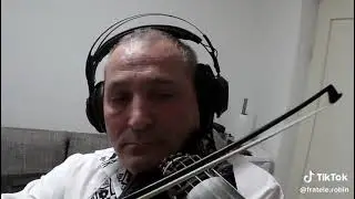 robin vioristul din dobresti 2026