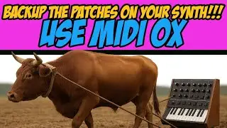 Backup Your Synth Today - Put Midi Ox to Work for You