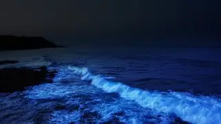 Ocean Waves for Sleeping, Relaxing & Studying | No Music ; relaxing ocean waves