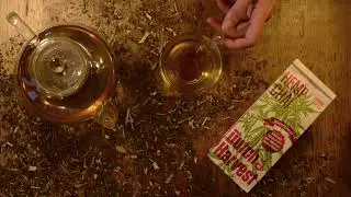 Dutch Harvest Hemp tea - Hemp Chai