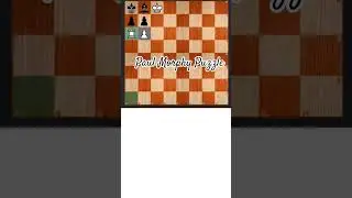 The Most Brilliant Chess Puzzles from Paul Morphy #paulmorphy #chesspuzzle #matein2