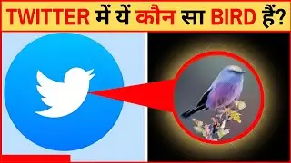 TWITTER में यें कौन सा BIRD हैं? Amazing Facts EP 492 |