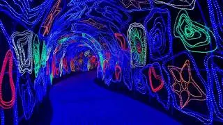 DUBAI GARDEN GLOW - СВЕТЯЩИЙСЯ  ПАРК В ЦЕНТРЕ ДУБАИ