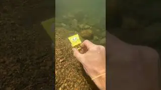 Who takes this to a river? 😳😭